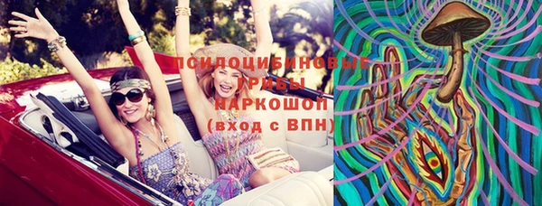 ешки Няндома