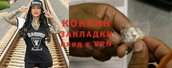 ешки Няндома