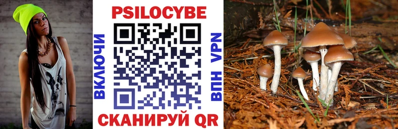 что такое   ОМГ ОМГ онион  Галлюциногенные грибы Psilocybine cubensis  Алагир 