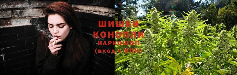 купить  цена  Алагир  МЕГА   Шишки марихуана SATIVA & INDICA 